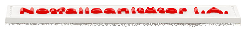 Qualifikationskennzeichnung Gummi Patch, 110x25mm, weiß mit roter Schrift Notfallsanitäter in Ausbildung, Kletthaken aufgenäht